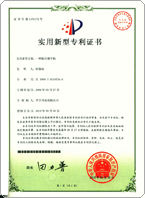 737-45專利P2